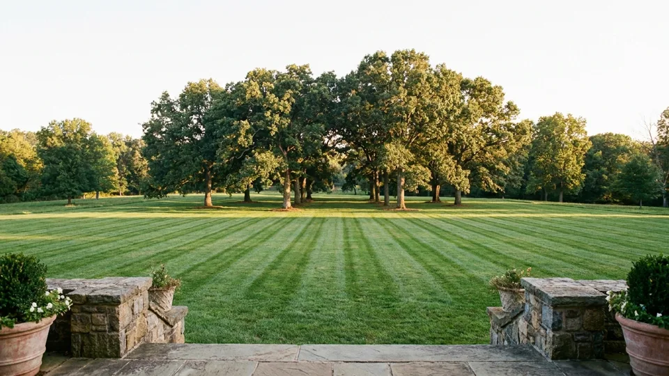 The wide striped lawn rolling toward mature oaks from the stone terrace